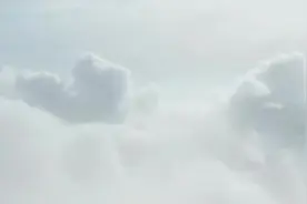 生态保护补偿条例（第一期）#生态环保视频封面