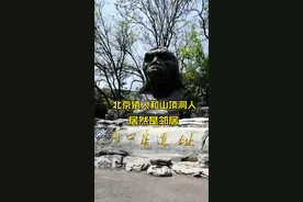 北京猿人和山顶洞人居然是邻居，来打卡这个硬核世界文化遗产吧！ #中国的周口店世界的“北京人”#旅游攻略#旅行#带你看世界#北京旅游视频封面