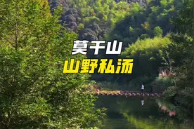 难怪老外把莫干山，评为全球必去的旅行地之一！视频封面