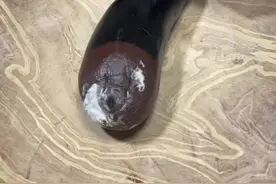 坏了的茄子千万不要丢，还有大用处，把好的留下来可以做大餐 视频封面