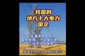 我国的地方十大电力国企！视频封面