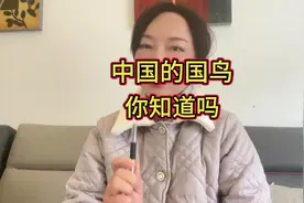 中国的国鸟是什么，你知道吗？#中视频伙伴计划 #奇闻奇事  #国鸟