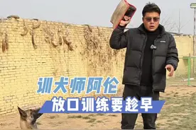 为什么说狗狗吐口一定要趁早训，看完就知道了#训犬 #狗狗训练技巧 #训犬教程 #马犬幼犬 #训狗经验分享视频封面