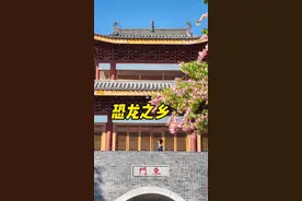 你相信恐龙真实存在吗！？#交换世界计划 #人生建议去追光 #为中国小城上分 #河源 #恐龙视频封面