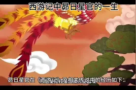#西游记中昴日星官的一生视频封面