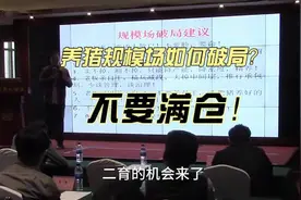 养猪规模场如何破局？猪场老板血泪经验总结#养猪技术视频封面