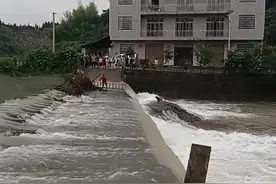 狗子被困水流湍急的河道中，两男子配合将其救出#洪水中的狗狗 #每个生命都应该被尊重 #人类好朋友视频封面