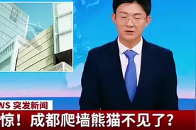 什么？成都爬墙熊猫不见了... #成都 #熊猫🐼 #ai  #中秋节视频封面