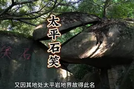 这才是厦门植物园最值得打卡的景点！#厦门植物园 #厦门游玩推荐