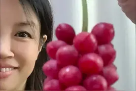 品尝五味子，品味五味人生 五味子已经上市啦，五味子有哪五种味道，你知道吗？#五味子 #秦岭无闲草 #中药材 @DOU+小助手视频封面