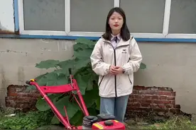 #农民好帮手 #微耕机生产厂家 #农用耕地机 #小红牛链轨犁地机 #小红牛耕地机视频封面