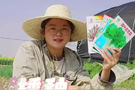 苋菜怎么种？ #苋菜 #我的小菜园 #种植小技巧 #关注我一起学种菜 #自己种的纯天然的绿色蔬菜视频封面