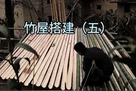 竹屋搭建 新手小白搭建竹屋过程#我的乡村生活 #农村生活 #竹屋搭建 #我要上热门🔥 #抖音新农人视频封面