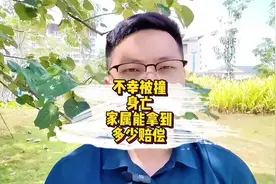 如果不幸被撞身亡，家属能拿到多少赔偿？#赔偿金怎么分配给家属视频封面