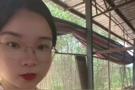 鸡群甩头，咔咔的什么情况？#禽病技术指导 #鸡病防治 #新农人计划2023 #一线兽医工作者 #农村散养土鸡