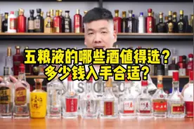 五粮液的哪些酒值得选？多少钱入手合适？#五粮液 #小五粮液视频封面