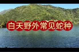 喜欢户外的老铁们看一看，是不是和我所说的一致，欢迎补充#蛇类科普 #毒蛇咬伤