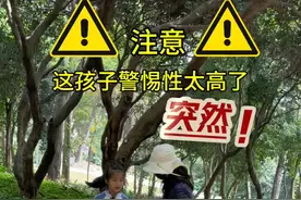 提高孩子的警惕性，三十六计走为上计#儿童安全教育#防拐防骗#家长必看#儿童安全意识