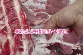 教你认识猪肉各个部位#猪肉分割技巧 #猪肉 #左手刀鹏哥 #美食 #知识分享视频封面