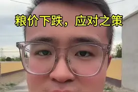 粮价下跌，应对之策！ #三农 #抖音助农 #小陶说农业 #粮食价格视频封面