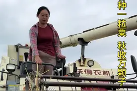 秋风过处，五谷飘香，春耕夏种，秋收冬藏，愿所有的努力，在这个季节都有所收获。#乡村生活家 #又是一个丰收年 #新农人计划2024 #三农视频封面
