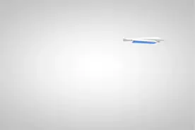 教育部职成司领导来校调研 #武汉职业技术学院视频封面