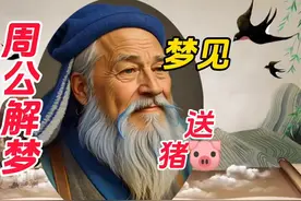 梦见猪#周公解梦#你的梦境在暗示什么 #梦的解析
