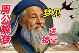 梦见猪#周公解梦#你的梦境在暗示什么 #梦的解析视频封面