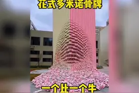 花式多米诺骨牌！一个比一个牛视频封面