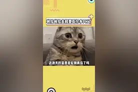 里瓦尔多一出现，全国足球迷齐聚青岛！#世界足球先生全网寻找传人 #抖音足球嘉年华视频封面