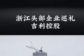 浙江头部企业巡礼之吉利控股，它的体量，可能超乎你的想象#浙商 #浙江企业#吉利