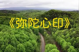 《弥陀心印》五音为角调乐，五行属木，五脏入肝，声调较高而婉转视频封面