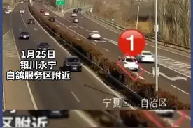 高速路上随意停车 害人害己（编辑：王建国 宋雨霏 审核：张瑞）#交通安全视频封面