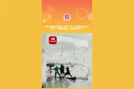 1月24日，山东青岛， #景区回应游客被困礁石救援队员趴在水中让游客踩着通过 ：涨潮都提醒，有些游客不听。视频封面