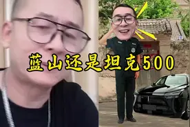 选魏牌蓝山还是坦克500#冤种说车#人生第一辆车