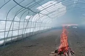 大雪压塌了大棚如何快速维修#温室大棚安装设计 #大棚管厂家 #种植棚 #大棚维修 #专业建棚