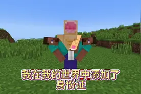 我在我的世界中添加了身份证 #我的世界 #MC #我的世界模组