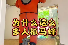 为什么每年都有这么多人抓马蜂#马蜂 #金环虎头蜂 #马蜂泡酒