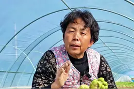 佛手瓜种子如果发芽了就可以育苗了#三农种植 #三农 #佛手瓜种植技术和方法 #佛手瓜 #蔬菜杨大姐 @DOU+小助手 @DOU+上热门 @抖音创作小助手