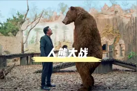 人熊大战，还扇了棕熊几巴掌，笑死了#我的观影报告视频封面
