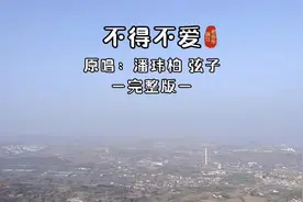 2005年流行歌曲，第16集，《不得不爱》潘玮柏、弦子。#音乐