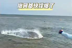 男人来到海边随手撒出一网 竟没想到鱼获直接拉满！#钓鱼人就是这么疯狂 #户外捕鱼 #奇闻趣事 #钓鱼的乐趣只有钓鱼人懂视频封面