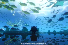 蛋仔海洋馆拍照教程 #蛋仔 #蛋仔地图推荐 #海洋馆 #蛋仔派对视频封面