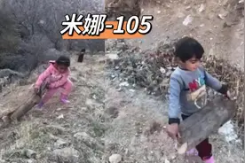 米娜和孩子们上山收集柴火，储柴过冬。见识米娜的教育成果。
