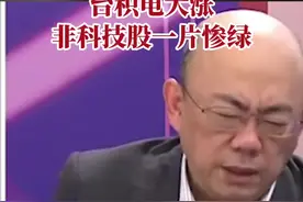 台股冲上2万点，郭正亮揭真相：台积电大涨，非科技股民一片惨绿视频封面