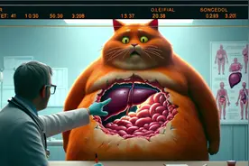 喵喵喝酒去世了 #原创动画 #喝酒 #肝癌 #酒精肝