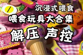 喂食玩具大合集 你们都玩过哪一款？#玩具 #原创视频 #手工制作diy #手工 #喂食玩具