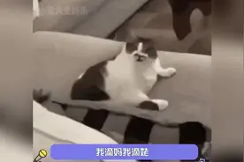 高洁丝广告组：开庭时带上你的破广告！#高洁丝视频封面