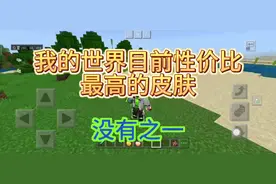 这真的是#我的世界 目前最划算的传说皮了吧，才70。