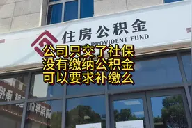 公司只给缴纳了社保，却没有交公积金，可以要求单位补缴吗？视频封面